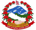 Government partner